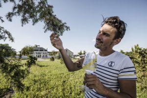 Jules-Dee-Klis-Consultant-gin-vodka